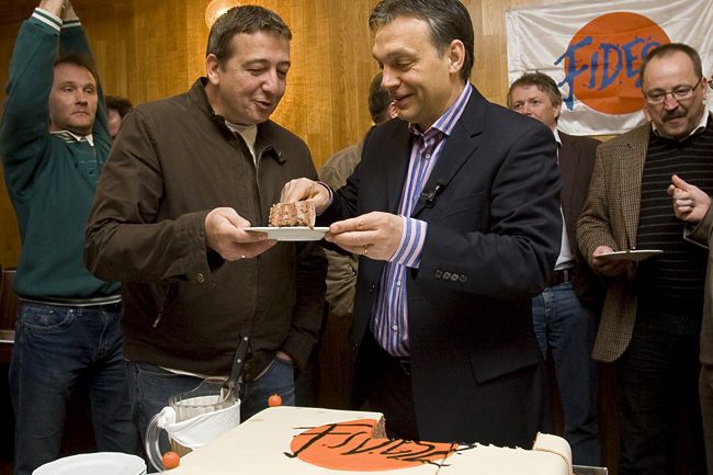 Nagy kövér kakasok kibaszott