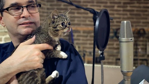 Steve Albini and a cat. Even Steve Albini loves cats.