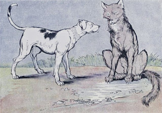 Anjing Petani Dan Serigala - Dongeng China ~ Dongeng Anak-anak Dunia