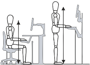 Apple Kam The Study Of Ergonomics Antropometrics