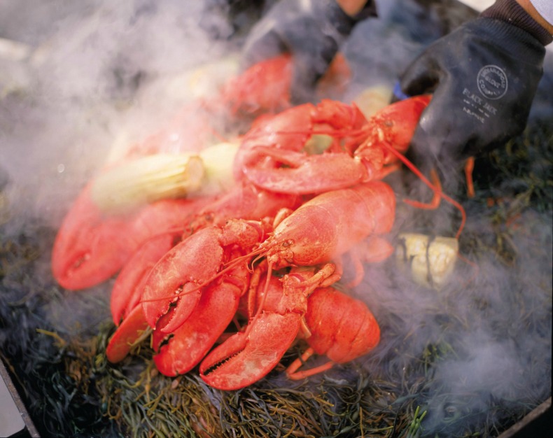 How to have a lobster steam party