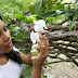 Animaya abrirá pronto un jardín de orquídeas