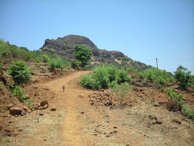 Madhumakarandgad9