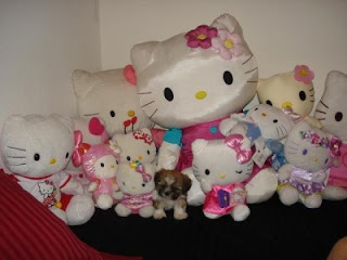 Small puppy dog with Hello Kitty plush soft toy collection