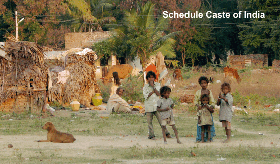 Schedule Caste
