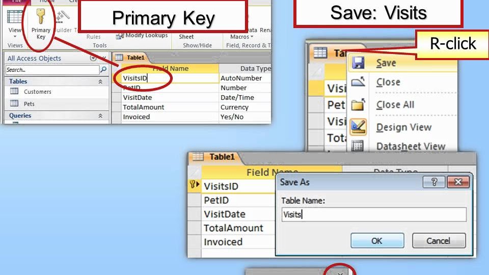 Microsoft access build access database build information center