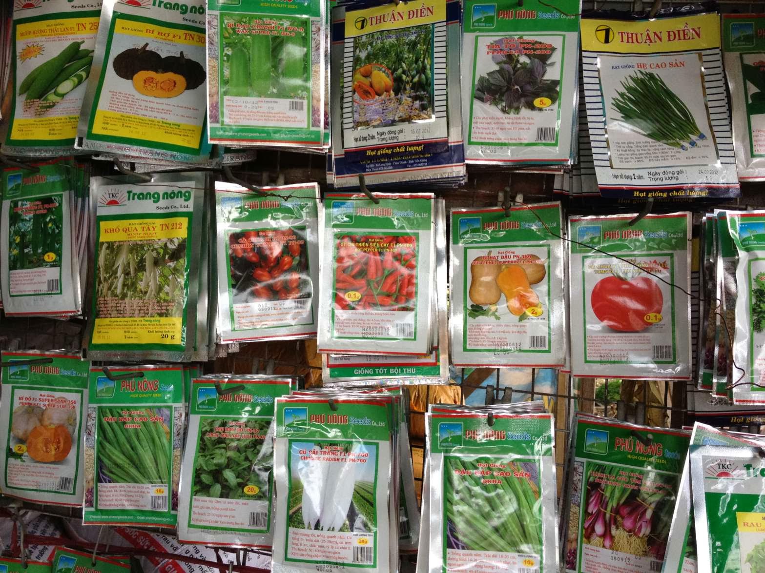 Hàng loạt đại lý hạt giống ngô, rau sai phạm TIN TỨC NÔNG NGHIỆP