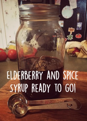 Farm Fresh Adventures: Fresh from the Cabinet: Elderberry & Spice Syrup ...