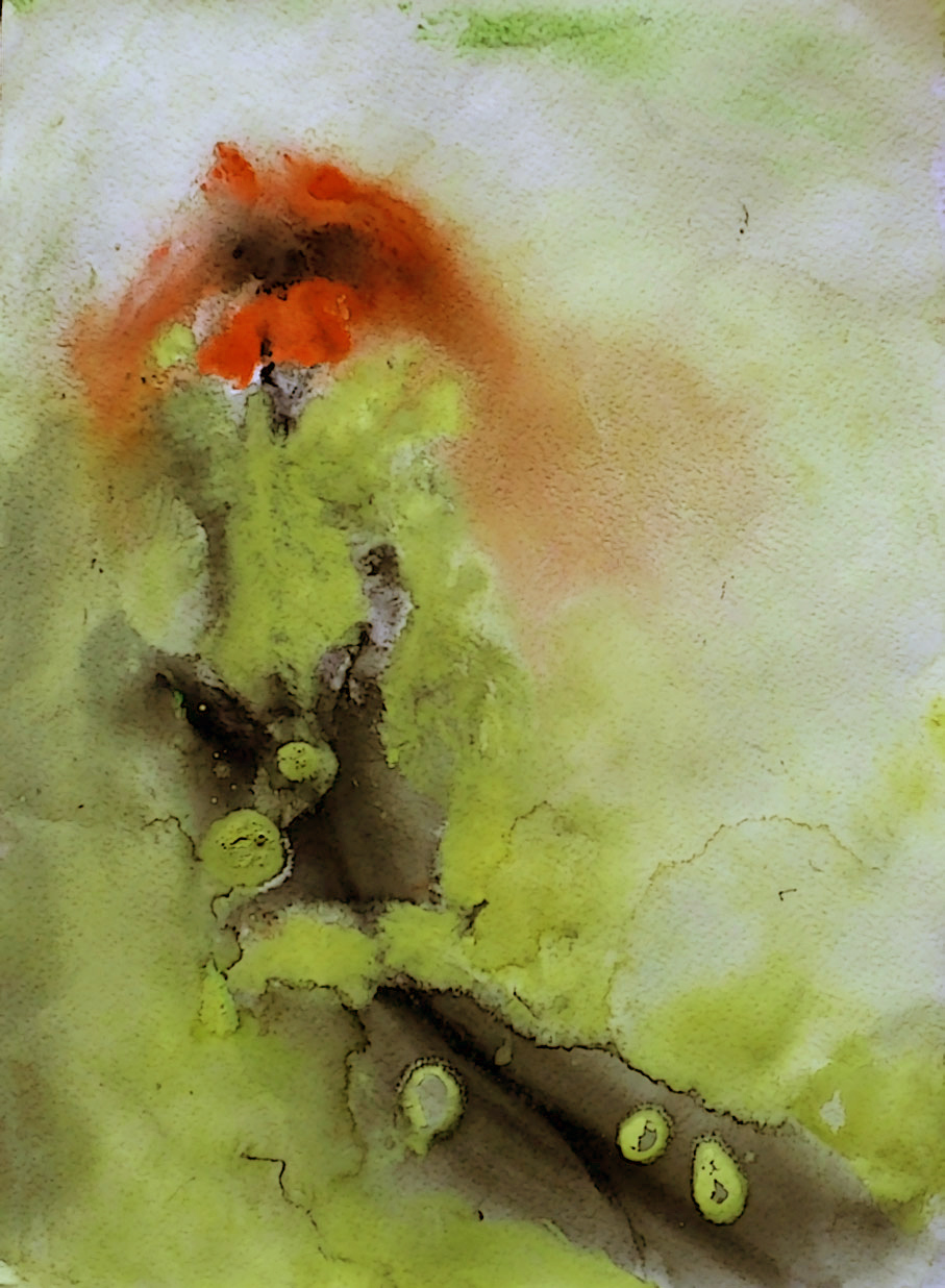 Harakan sivut TEEMAKUUN TAIDE KUKKA/ KUKKIA 2/6 3/6