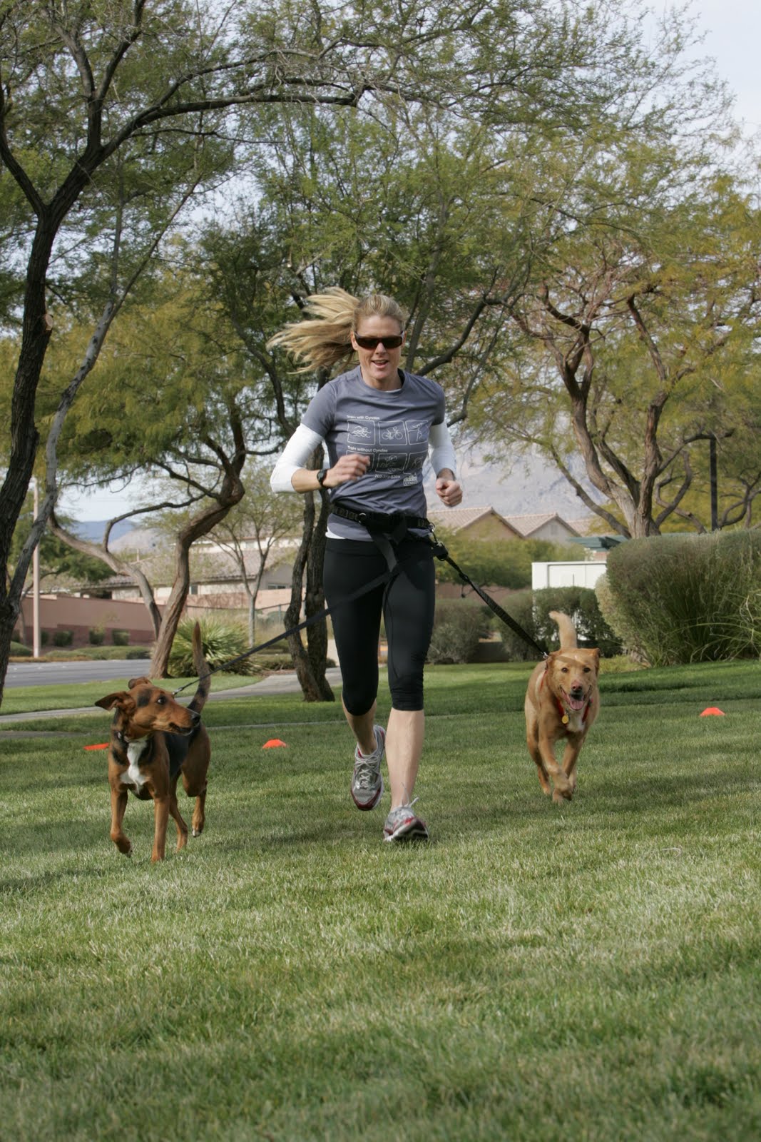 Run For Fido My dog doesn't need a leash.....really? All dogs should be on a leash when in public