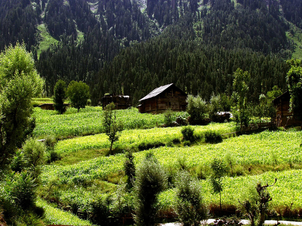World Visits: Natural Beauty of The Kashmir