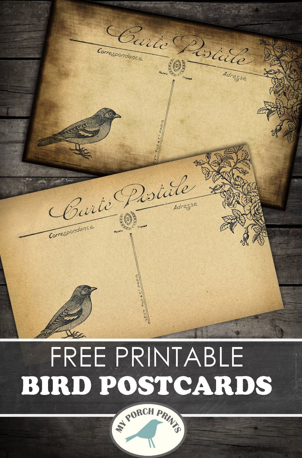 My Porch Prints Freebie Friday Bird Postcards