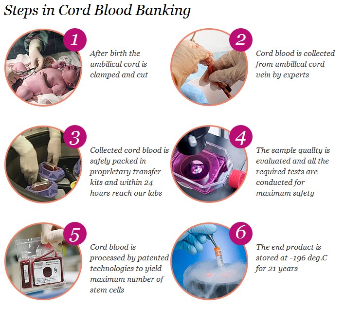 Why Bank Cord Blood & Cord Tissue?