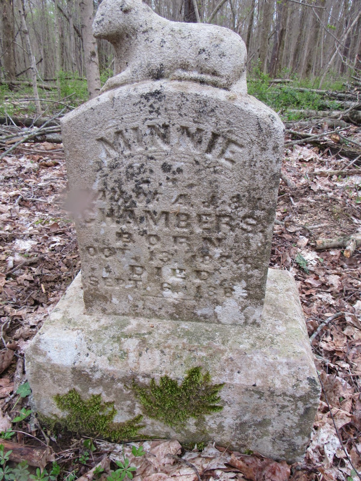 A Walk Through The Tombstones Chambers Cemetery