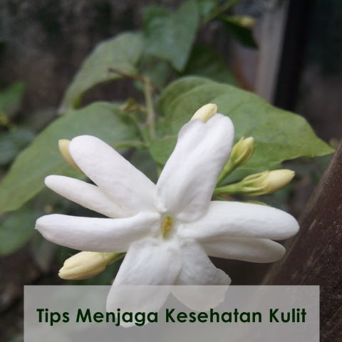 Tips Menjaga Kesehatan Kulit Agar Selalu Awet Muda