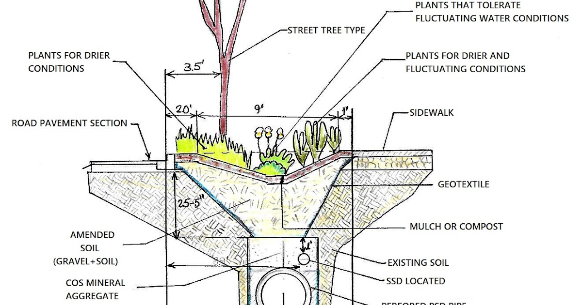 Bioswales in High Point Public Natural Drainage Systems