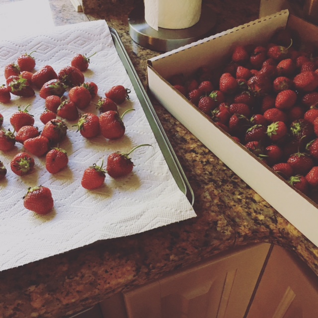 Northwoods Scrapbook: Happy Homemaker Monday
