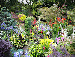 garden flower summer wallpapers gardens amazing flowers paradise landscape desktop peaceful plants frankenstein crazy labels decorate google wallpapersafari heat gardening