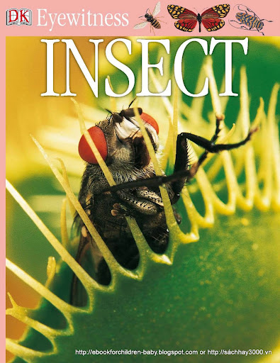 Free Download Ebook Insect Dk Eyewitness Books