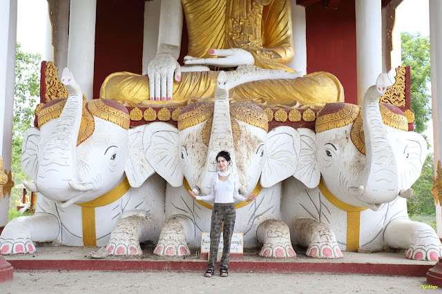 Objetivo Birmania - Blogs de Myanmar - 12-08-16 Camino a Monywa. (2)