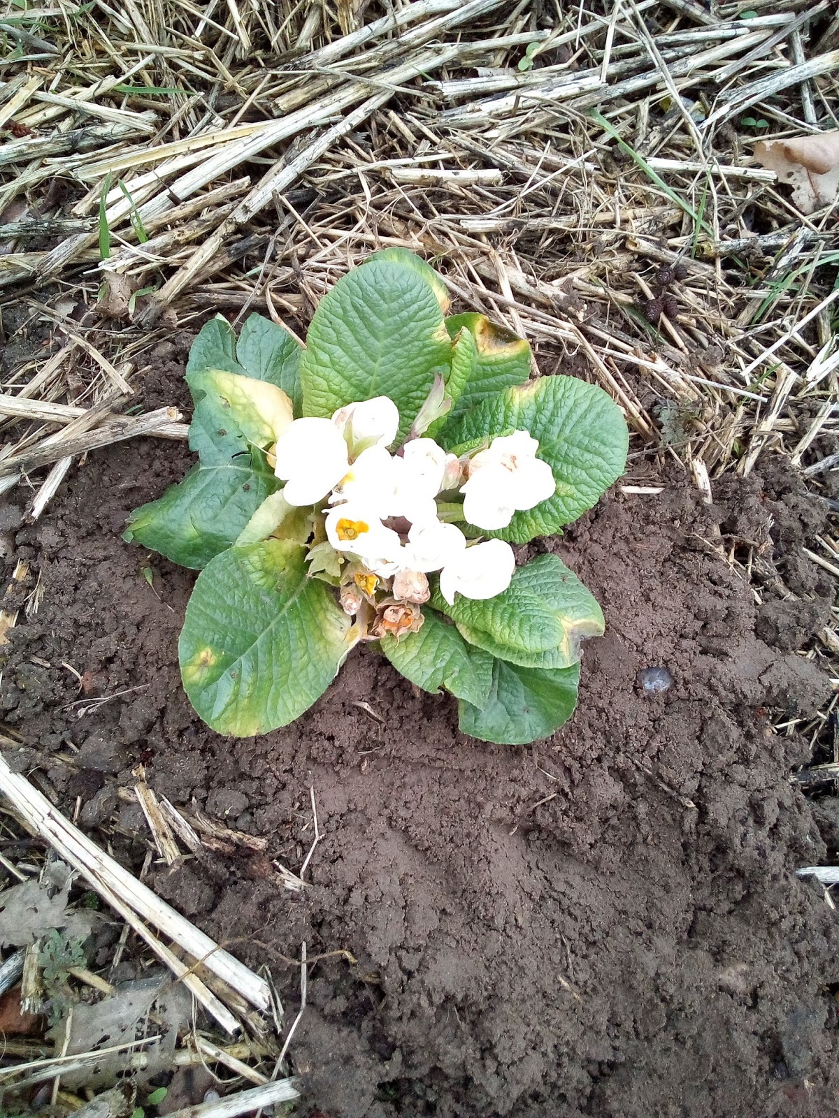Lucy Und Rasselbande Testet 03 16 17