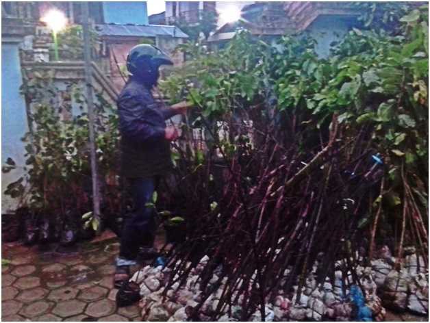 Bantuan Bibit Tanaman Keras dari BLH Kabupaten Magetan Terkesan Asal – Asalan