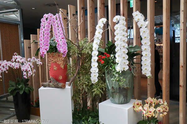 台中后里|台中花博后里馬場園區|花舞館|馬術兢技場|故宮花蝶館|花馬樂園 台中后里|台中花博后里馬場園區|花舞館|馬術兢技場|故宮花蝶館|花馬樂園