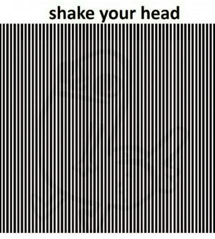 SuperbPics - Optical Illusions, Funny Pictures, Troll Face, Crazy ...