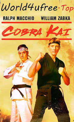 Cobra Kai S01 Dual Audio Complete Series 720p HDRip HEVC x265