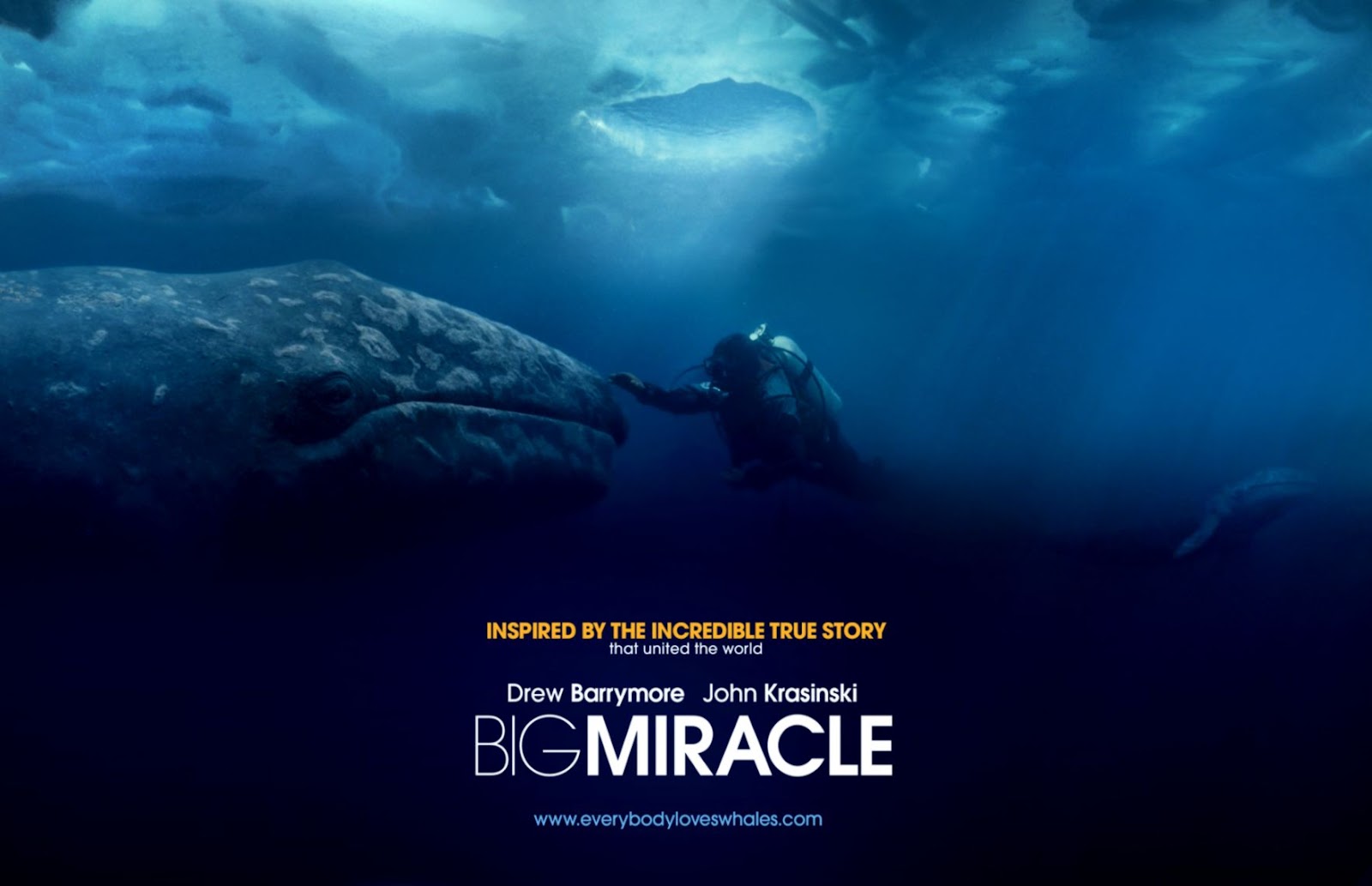 Big Miracle Movie