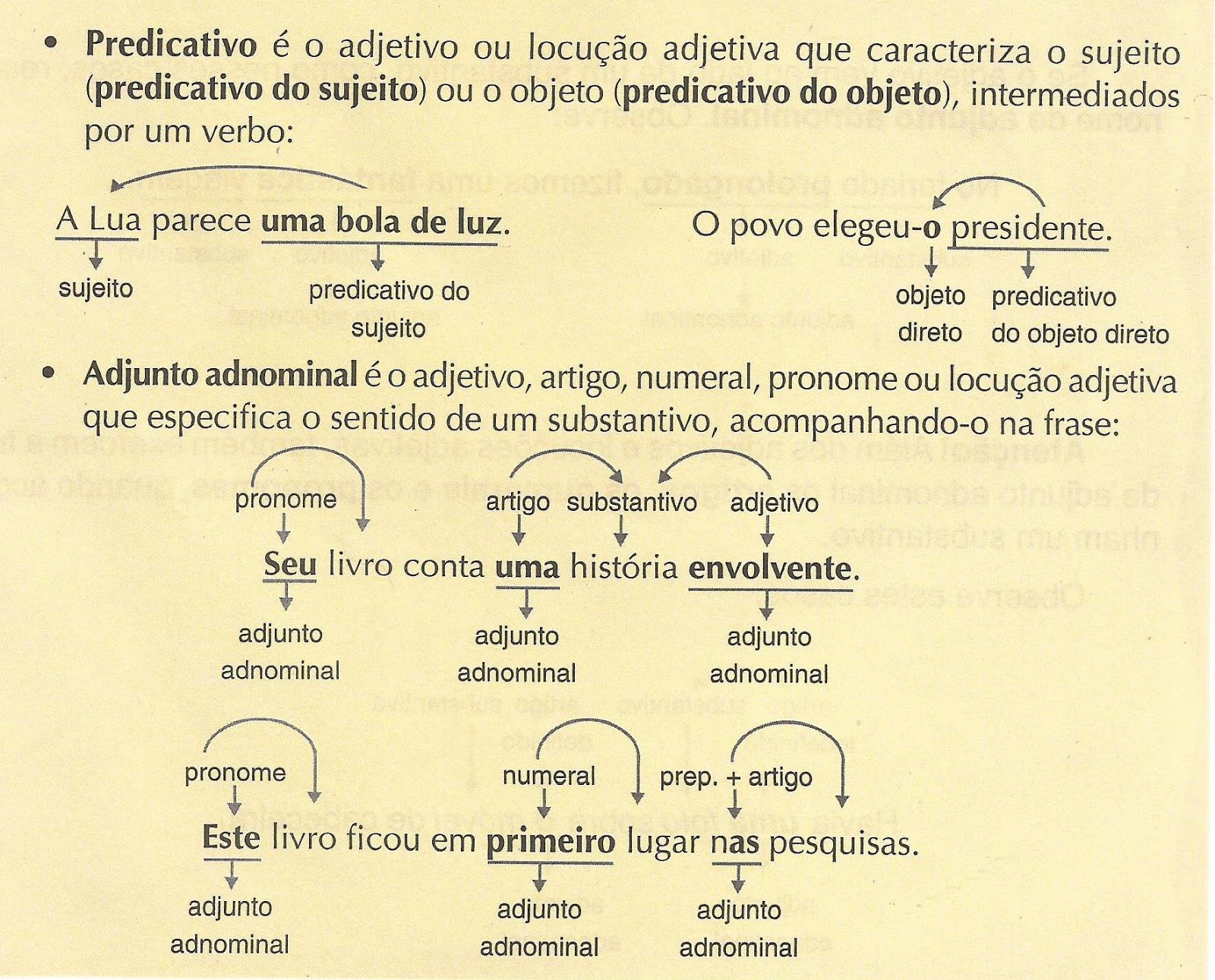 Diferença Entre Predicativo Do Objeto E Adjunto Adnominal