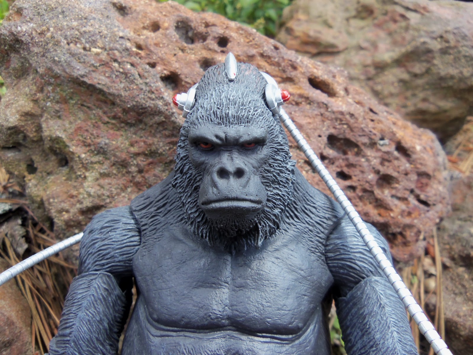 Mr. Morbid's House of Fuckery: Top 5 Songs: Gorilla Grodd edition