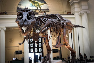 Kenapa Di Indonesia Tidak Ditemukan Fosil Dinosaurus?