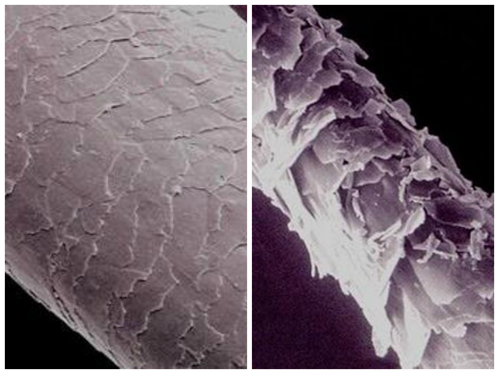 Apple Cider Vinegar Rinses For Healthy, Shiny Hair! KL's Naturals