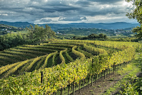 Marco Felluga winery in Friuli