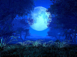 moon wallpapers desktop background moonlight sky night backgrounds moons forest lunar nature luna azul mi lune moonlit