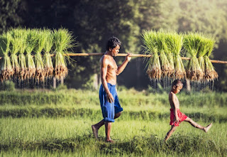 Jumlah Penduduk Thailand