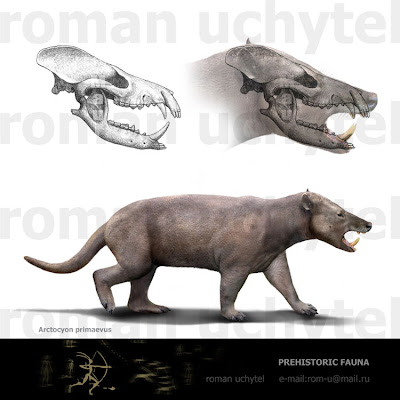 mamiferos del Paleoceno Arctocyon