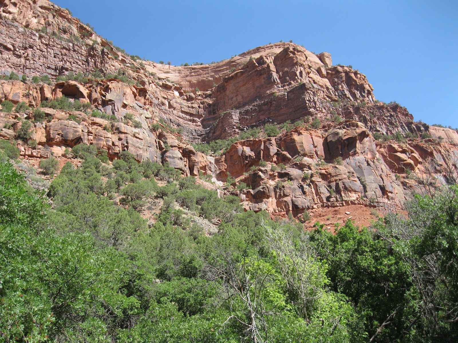 Four Corners HikesDolores River Valley Colorado Dolores River Canyon