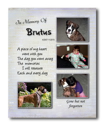 Memorial Pet  - Combine family & pet photos