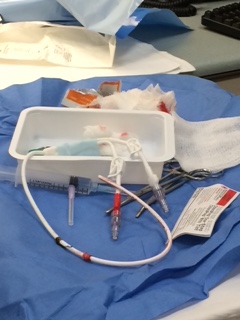 MDS? No Disneyland for us: The Hickman Catheter (there are pictures!)