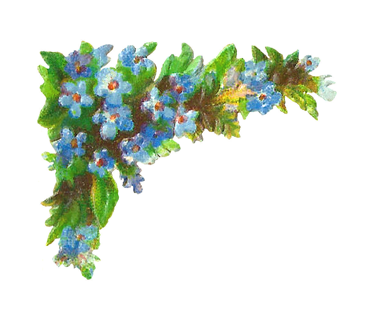 free clip art forget me not flower - photo #20
