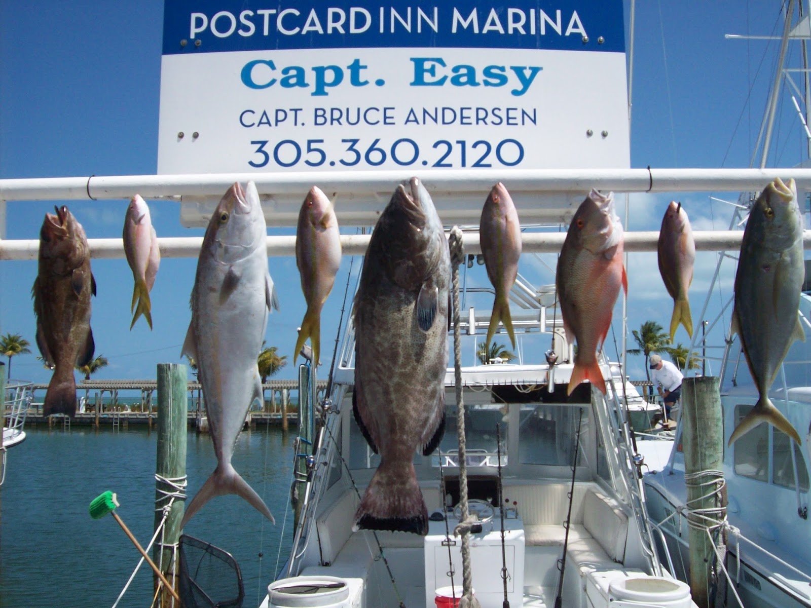 Postcard Inn Resort & Marina at Holiday Isle Captain's Fishing Report
