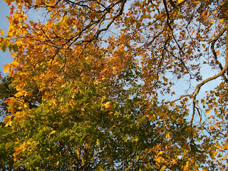 CIMG2564 - Födelsedagspromenad