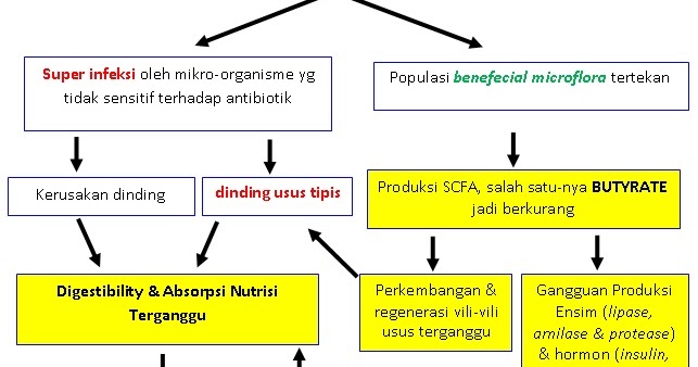 3 Cara Menjaga Kesehatan Alat Pencernaan - Berbagai Alat