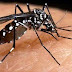 REGIÃO / BAIXA GRANDE: Cidade de Baixa Grande registra caso de febre Chikungunya
