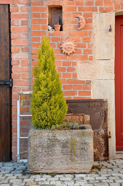 Hof 9: es grünt so grün im Innenhof......