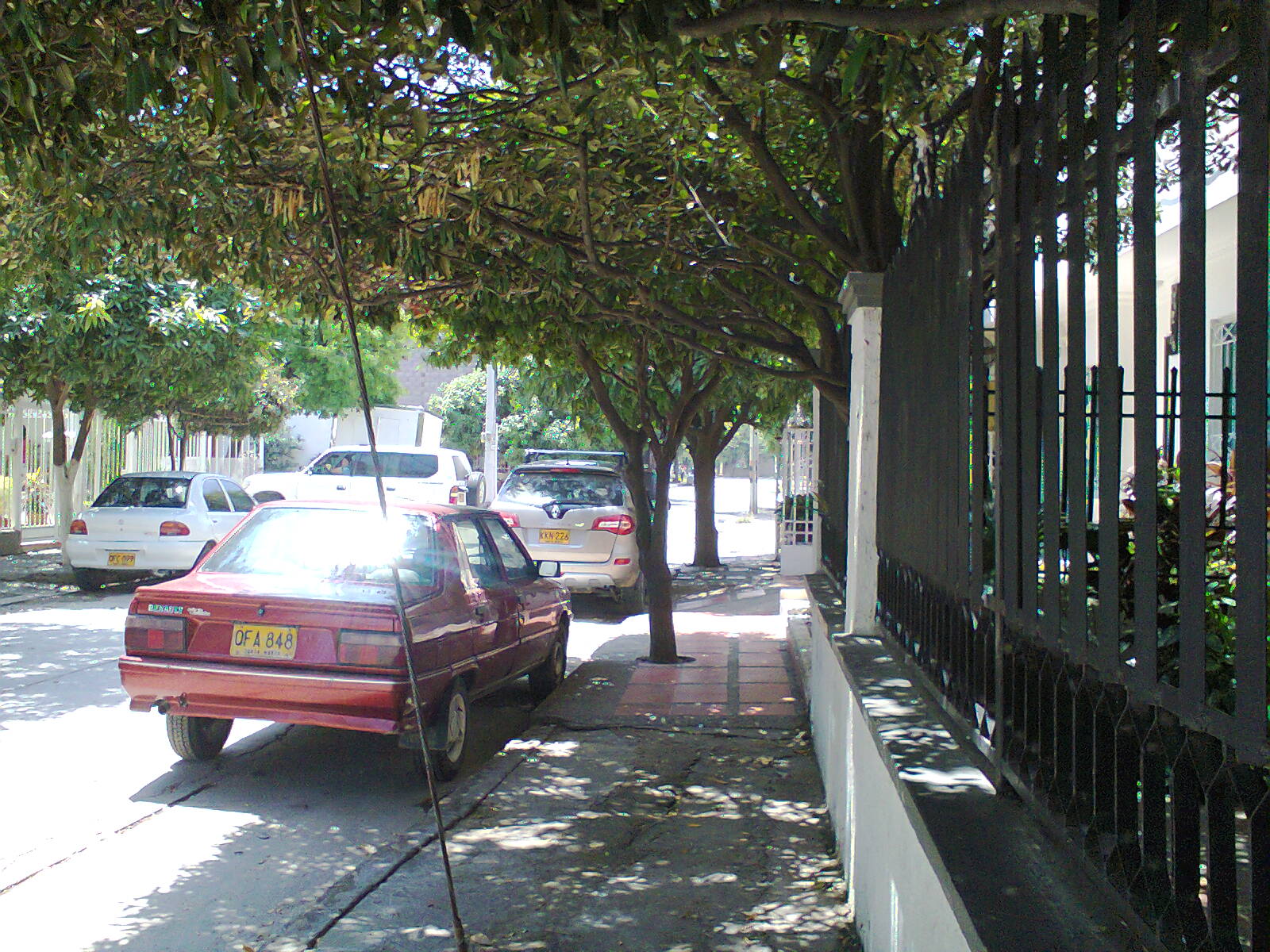 Habitat y Cultura_ San José