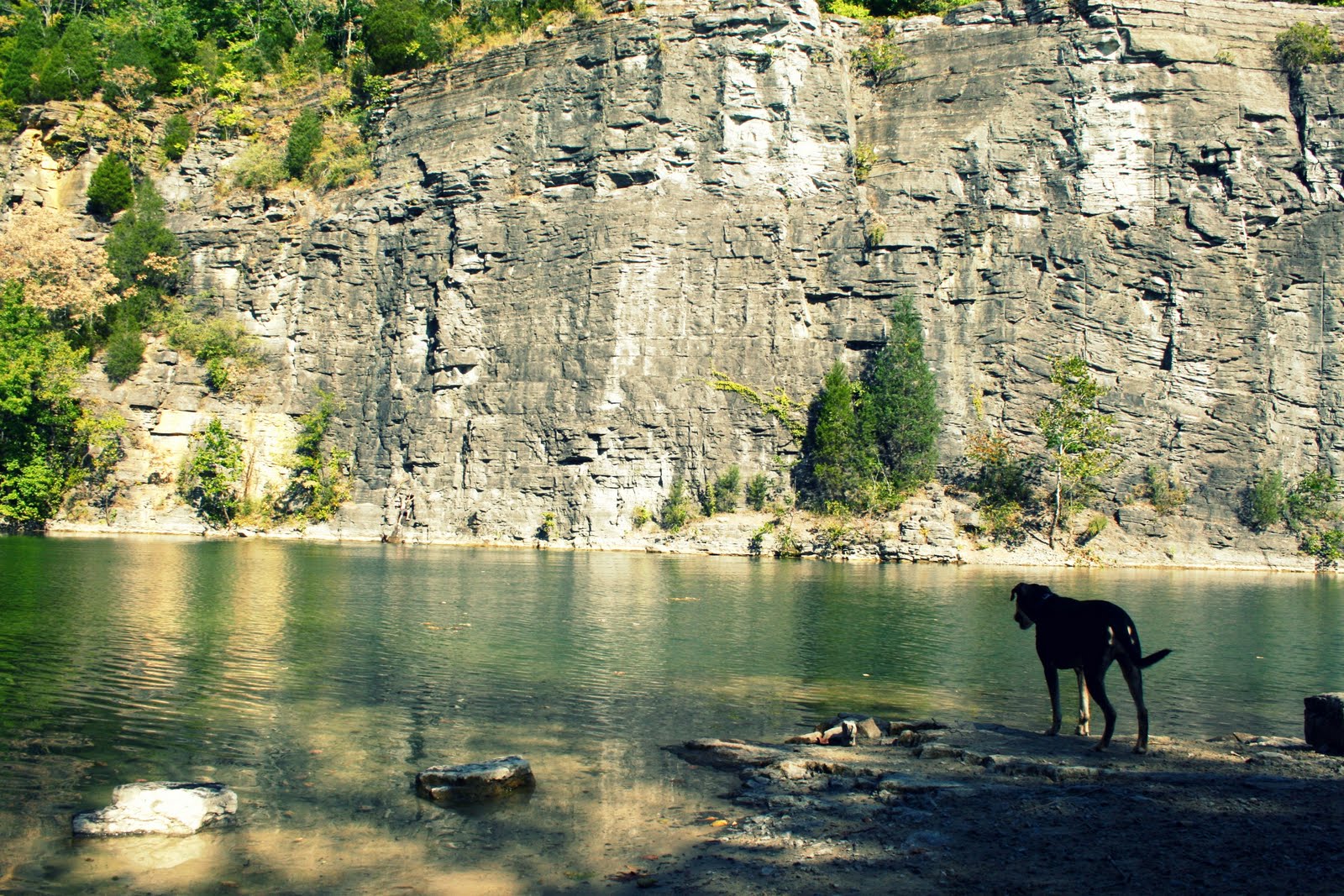 this is the life rock quarry