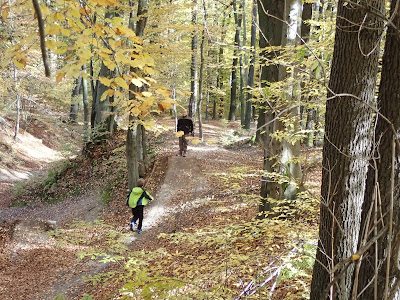 grzyby 2018, grzyby w październiku, grzyby w Lasku Wolskim, zabawy w lesie